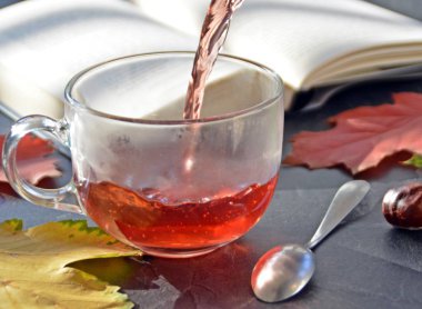 Kestane ile bir otumnal ayarı önünde bir bardak çay dökme, renkli sonbahar yaprakları ve bir kitap içme çayı sonbahar ayarı bir bardak çay sembolize soğuk kış günlerinde ısınmak için