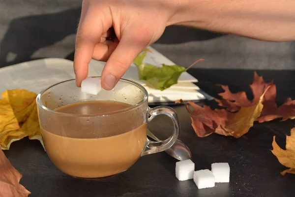 Pour coffee in a autumn setting into a glass cup - a glass cup is standig beside dry and colorful autumn leaves and a book in the background and someone is pouring coffee into it