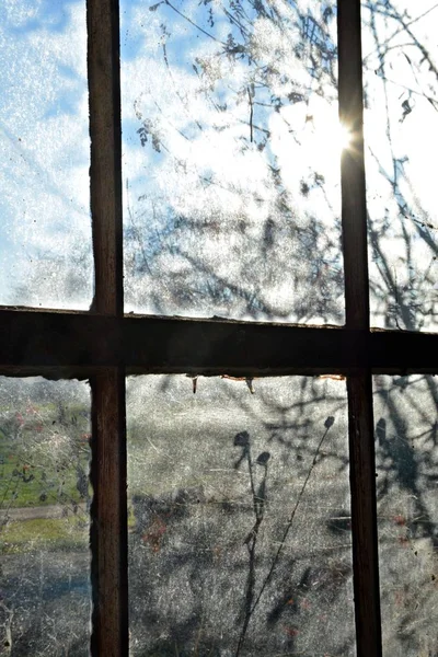 Photo through an old broken window in an industrial plant - field of view on the blue sky and green through a broken glass window