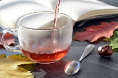 Kestane ile bir otumnal ayarı önünde bir bardak çay dökme, renkli sonbahar yaprakları ve bir kitap içme çayı sonbahar ayarı bir bardak çay sembolize soğuk kış günlerinde ısınmak için