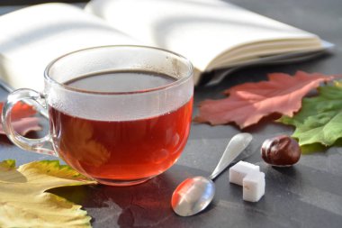 Kestane ile bir otumnal ayarı önünde bir bardak çay dökme, renkli sonbahar yaprakları ve bir kitap içme çayı sonbahar ayarı bir bardak çay sembolize soğuk kış günlerinde ısınmak için
