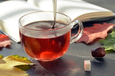 Kestane ile bir otumnal ayarı önünde bir bardak çay dökme, renkli sonbahar yaprakları ve bir kitap içme çayı sonbahar ayarı bir bardak çay sembolize soğuk kış günlerinde ısınmak için