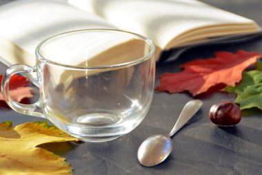 Kestane ile bir otumnal ayarı önünde bir bardak çay dökme, renkli sonbahar yaprakları ve bir kitap içme çayı sonbahar ayarı bir bardak çay sembolize soğuk kış günlerinde ısınmak için 