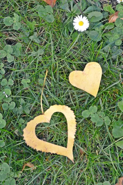 Una Hoja Amarilla Otoño Forma Corazón Encuentra Escalón Hierro Mientras — Foto de Stock