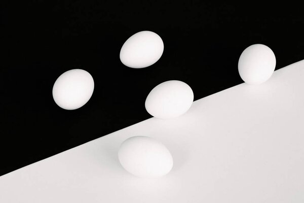 Куриные яйца с белой чашкой лежат перед полубелым и получерным фоном - концепция с белыми яйцами и сильный контраст в качестве фона с небольшой тенью
 