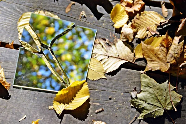 Mirror shards lie between colorful autumn leaves and reflect the sky as well as parts of the foliage - concept with mirrors and autumn leaves