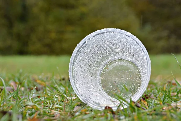 Closeup View Wet Plastic Cup Green Grass Park Selective Focus — Stock Photo, Image