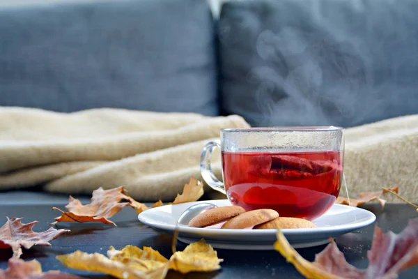 Autumnal Setting Tea Dark Background Teabag Fruit Tea Floating Glass — Stock Photo, Image