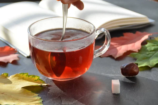Nalewanie Herbaty Szklance Przed Jesienny Ustawienie Kasztanów Kolorowych Liści Jesienią — Zdjęcie stockowe