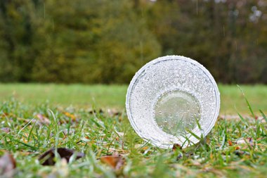 parkta yeşil çim ıslak plastik fincan yakın çekim görünümü, seçici odak