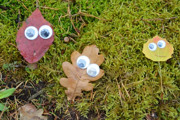 Verschiedene Bunte Herbstblätter Liegen Auf Dem Boden Und Haben Wackelige — Stockfoto