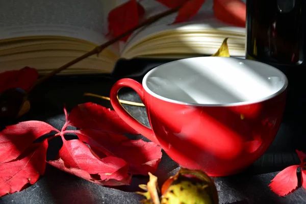 Bir Sonbahar Ayarı Kırmızı Bir Fincan Içine Kahve Dökme Kestane — Stok fotoğraf