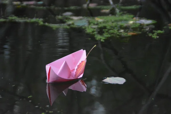 Een Zelfgevouwen Papier Boot Zweeft Grond Herfst Een Plas Geaccumuleerd — Stockfoto