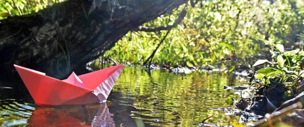 Papier Schip Drijft Stagnerend Water Tussen Planten Herfst Duitsland — Stockfoto