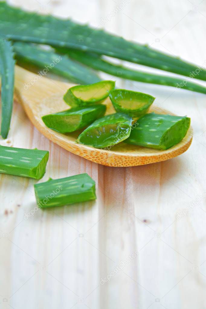 An aloe vera plant is cut into small strips on a wooden cooking spoon. This lies on a light wooden surface. Strong contrast with green aloe vera and light wood 