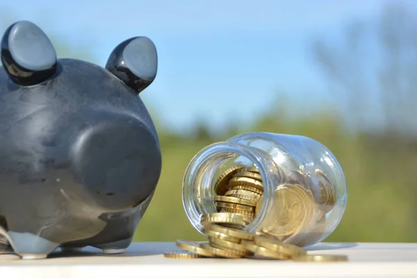 A piggy bank and a jar of savings coins is standing on a block on which other coins have been piled up into small towers, which together form an ascending curve - a concept for saving and investing