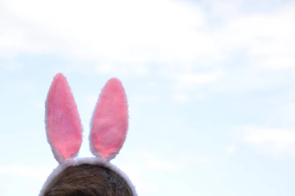 ピンクのウサギの耳の頭の凍結の上部は わずかに曇った空に対して固定されています イースターの耳とテキストや他の要素のための場所と概念 — ストック写真