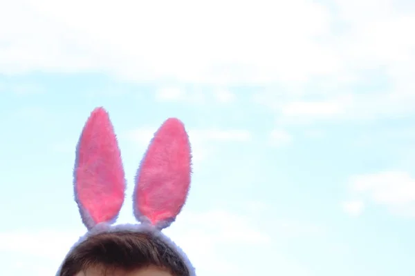 Верхня Частина Голови Замерзає Рожевих Вухах Кролика Кріпиться Тлі Злегка — стокове фото