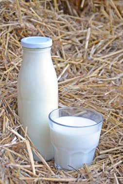Bir şişe ve saman içinde süt standı dolu bir bardak-metin veya diğer unsurlar için uzayla çiftlikten taze süt kavramı 