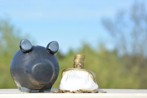 A piggy bank stands on a space next to a purse of saved coins, which stack up to give a tall tower - concept of saving with space for text or other elements