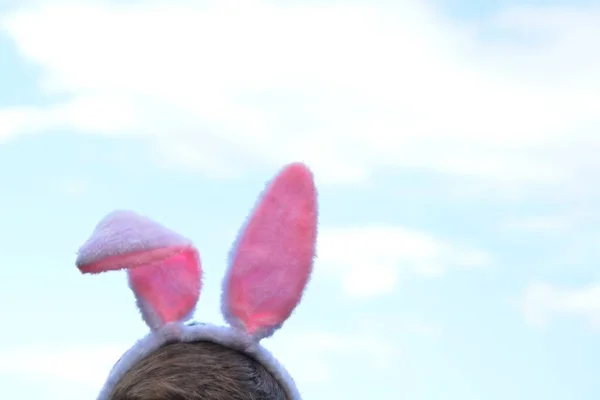 粉红兔子耳朵上的头部冻结的上半部分固定在稍微多云的天空上 带有东方耳朵的概念 以及文本或其他元素的位置 — 图库照片