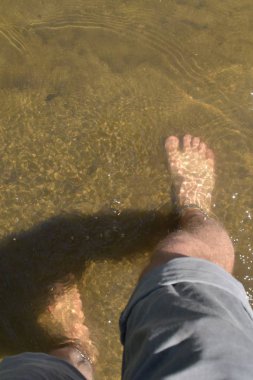 Ayakları üzerinde yakın çekim - adam yavaş yavaş sıcak yaz gününden kendini yenilemek için içinde bitkiler ile küçük bir gölet içine ayakları ile yürür