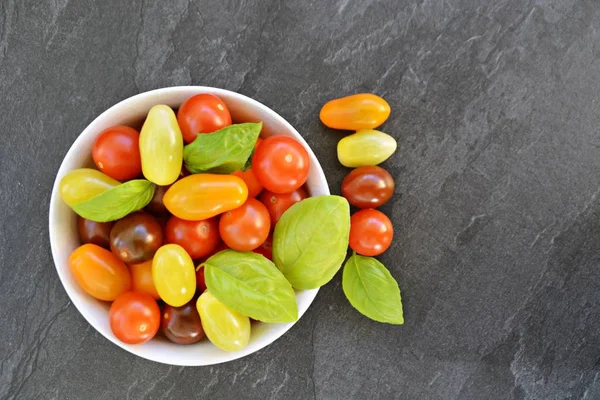 Different types of tomatoes in different colors and basil - concept with fresh and healthy different tomatoes, with space for text for other elements