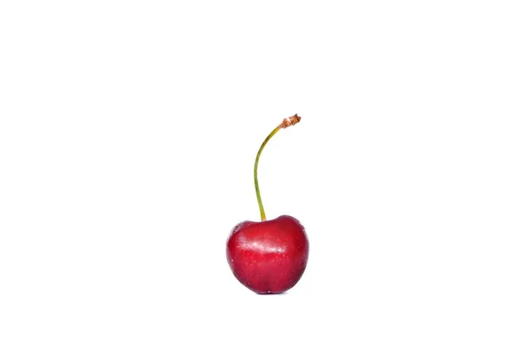 A single cherry with a stalk lies on a white background - concept of a firth, yummy, healthy cherry in front of a white background with place for text or other elements