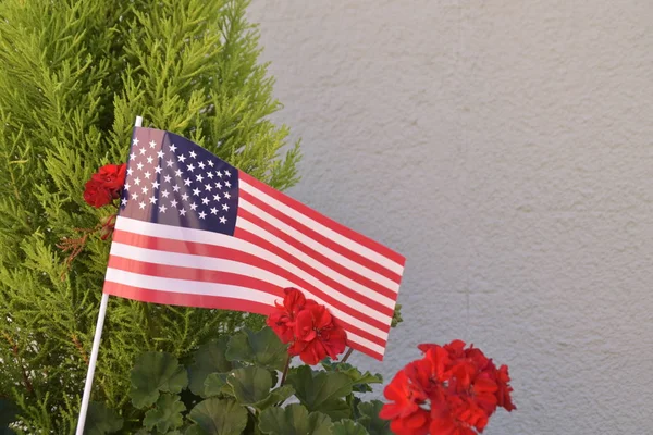 Usa Flag Grey Wall Bushes — Stock Photo, Image