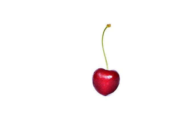 Single Cherry Stalk Lies White Background Concept Firth Yummy Healthy — Stock Photo, Image