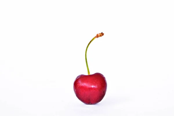 Egy Cseresznye Egy Szárral Fekszik Fehér Háttér Koncepció Firth Isteni — Stock Fotó