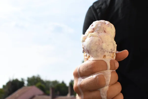 Closeup on the upper body of a man with shirt holding a waffle ice cream in hand. The ice cream balls Wildberry are already melting due to the heat - Too hot summer with refreshing cooling