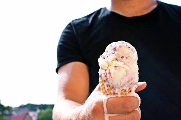 Closeup on the upper body of a man with shirt holding a waffle ice cream in hand. The ice cream balls Wildberry are already melting due to the heat - Too hot summer with refreshing cooling