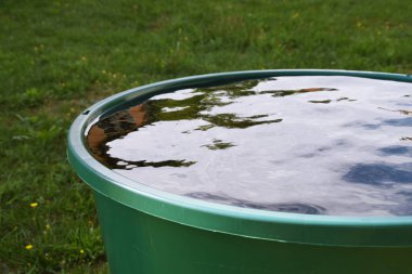 Parkta yeşil çimenler.