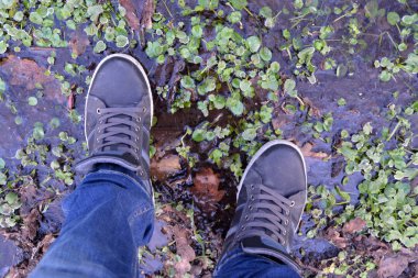 Parkta kadın ayakları.