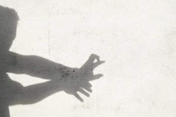 shadow of man gesturing monster on white wall