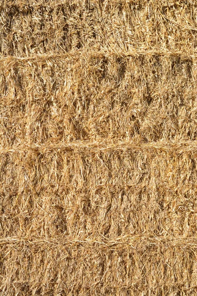 Stacked Straw Bales Background — Stok fotoğraf