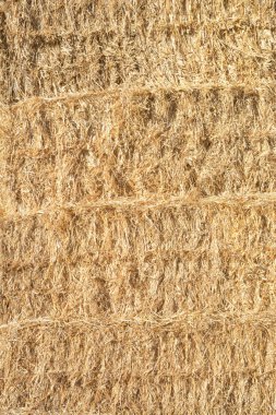background of yellow wheat and straw