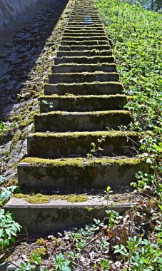 Parktaki taş patika.