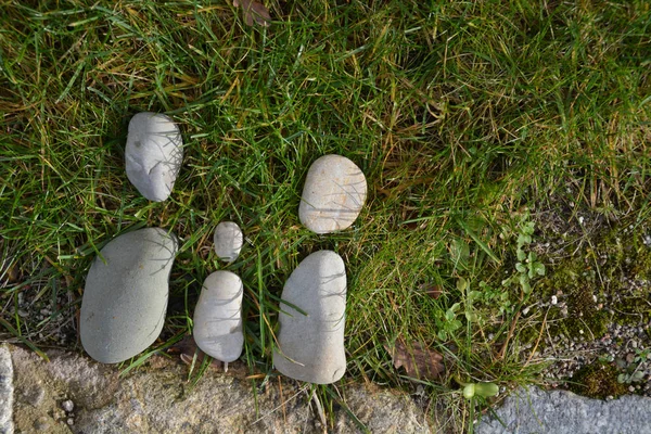 Pedras Grama Como Símbolo Para Família — Fotografia de Stock