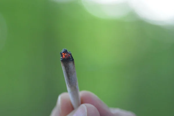 Yeşil Arka Planda Sigara Içen Genç Bir Adam — Stok fotoğraf