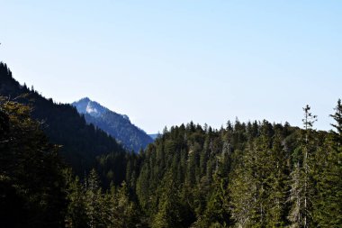 Panorama manzaralı dağlar, yeşil çimenler, bulutlar