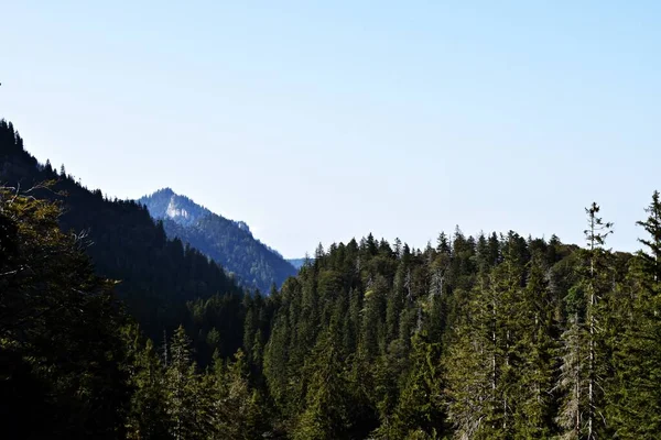 Panorama Utsikt Över Bergen Grönt Gräs Moln — Stockfoto