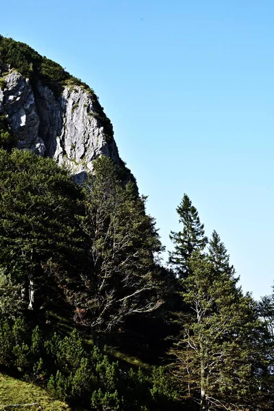 Горный Пейзаж Зелеными Деревьями Горами — стоковое фото