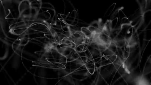 Abstracte Witte Rook Beweging Zwarte Achtergrond Video Abstracte Witte Lijn — Stockvideo