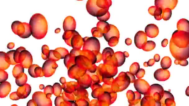 Abstract Red Bubbles Float White Background Motion Video — Stock Video