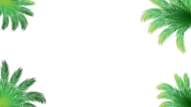 Кокосовые Листья Пустыми Украшения Фона Видео Summer Графической Концепции Видео — стоковое видео