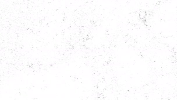 Abstracte Lawaai Textuur Beweging Witte Achtergrond Fractale Ruis Eenvoudig Toe — Stockvideo