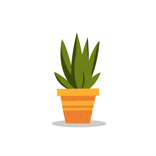 Flat Little Aloe Vera Pot Isolated White Background Vector Little — стоковий вектор