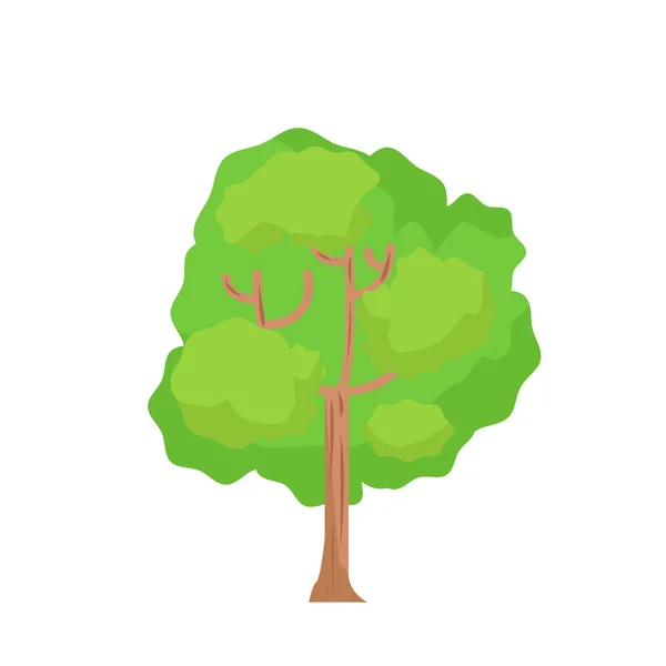 Plochý Strom Izolovaným Bílým Pozadí Vektor Cartoon Strom Bílé Velký — Stockový vektor